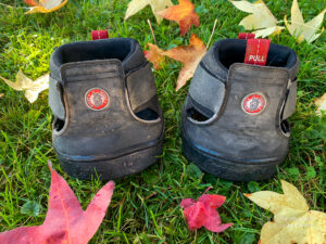 Equine Fusion Joggine Shoe